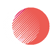 Rony – Your New Home Friend